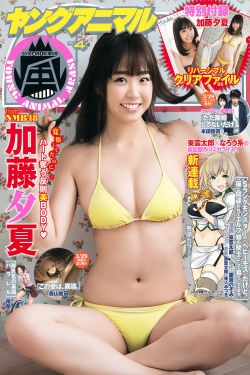 电视剧排行榜